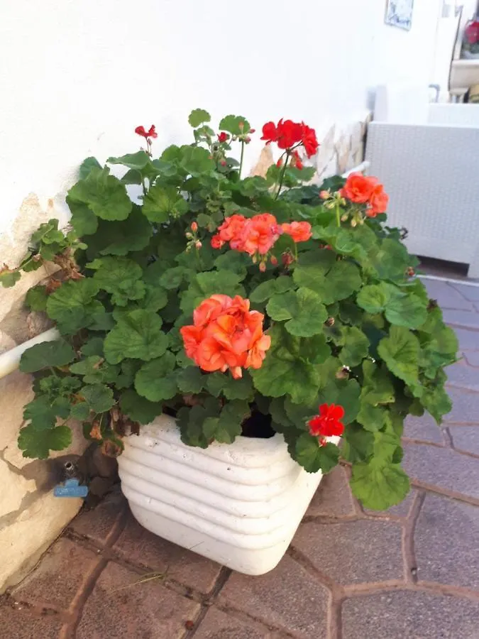 Domus Claudio Garden - Monolocale Con Giardino Privato Apartment Fiumicino Italy