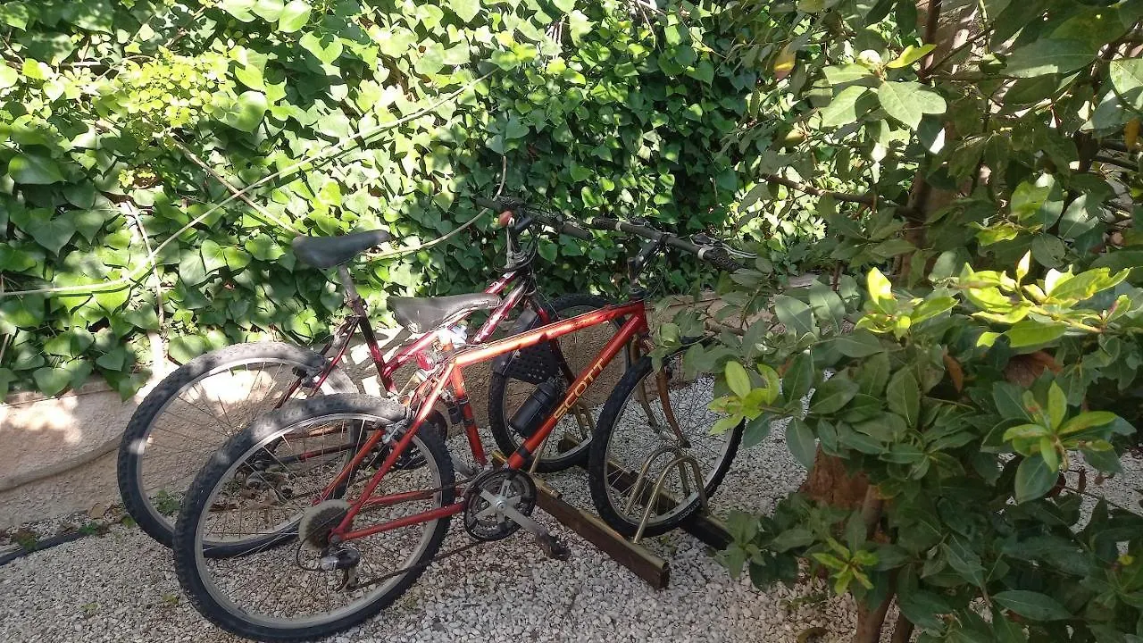 Domus Claudio Garden - Monolocale Con Giardino Privato Apartment Fiumicino Italy